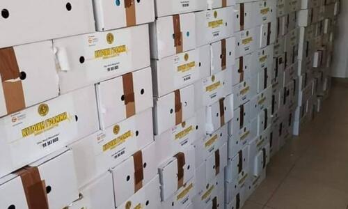 1,100 πακέτα σε συμπολίτες μας που αντιμετωπίζουν προβλήματα thumb