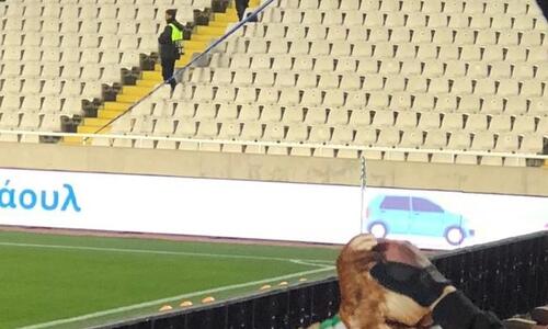 Ομόνοια – ΑΠΟΕΛ: Καταγγελία από το Κόμμα για Ζώα για κοτόπουλο στην κερκίδα thumb