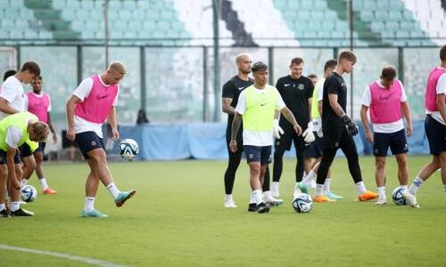 Παναθηναϊκός: «Αυτονόητο ότι δεν υπάρχει εμπλοκή με τη δηλητηρίαση» thumb