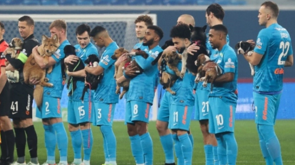 Bγήκαν στον αγωνιστικό χώρο με σκυλάκια προς υιοθεσία thumb
