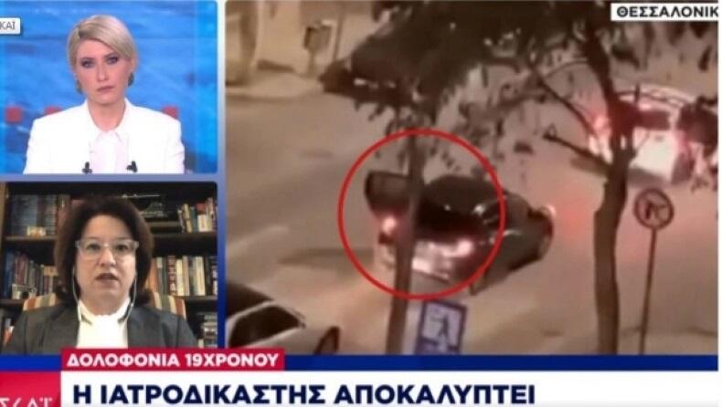 Δολοφονία Άλκη: Ήξεραν τι έκαναν αυτοί που τον χτύπησαν λέει η ιατροδικαστής thumb