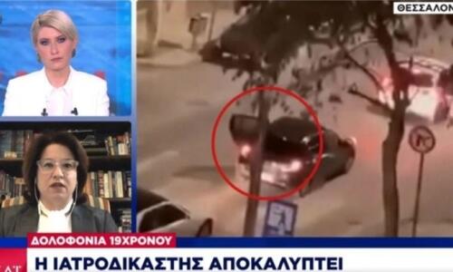 Δολοφονία Άλκη: Ήξεραν τι έκαναν αυτοί που τον χτύπησαν λέει η ιατροδικαστής thumb