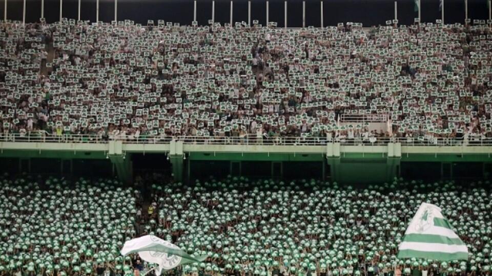 Εντυπωσιακό κορεό με χιλιάδες χαρτόνια! thumb