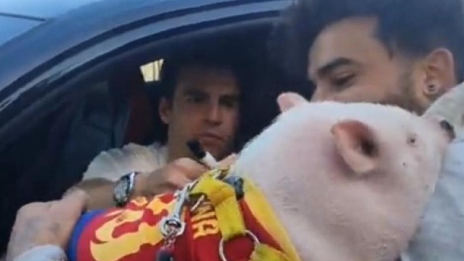 Αυτόγραφο σε γουρούνι! thumb