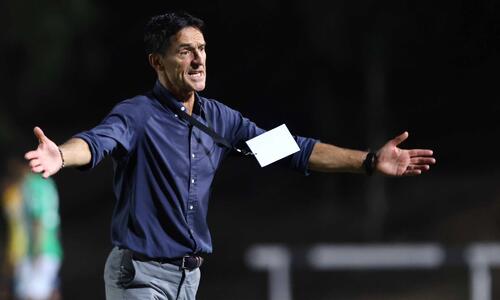 Γιανέφσκι: «Τίποτα δεν κάναμε ακόμη, πατάμε στο έδαφος» thumb